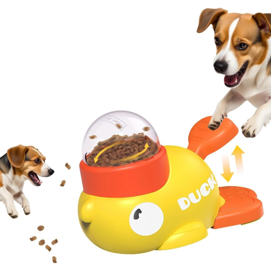 SnackQuest™ Feeder